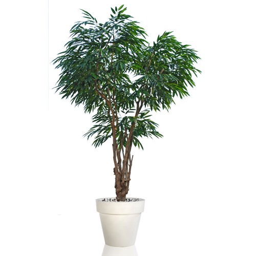 Planta semi-artificiala Ila, Longifolia Malabar Lux Green - 250 cm